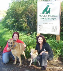 Hollyhedge Animal Sanctuary